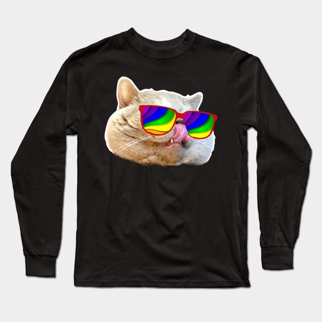 Crazy Sunglasses Cat Long Sleeve T-Shirt by SolarFlare